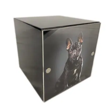 Pet Cube